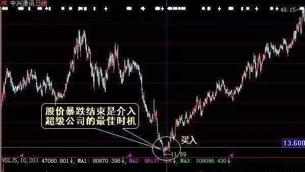 最新股票资源深度解析