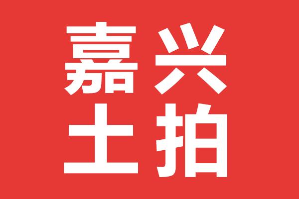 嘉兴最新土拍动态，市场走势、参与者分析以及未来展望