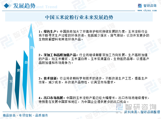 淀粉最新消息，探索淀粉产业的未来发展